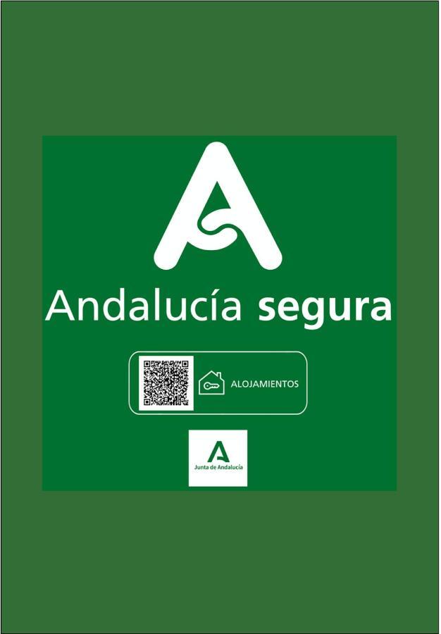 Apartment Holidays2malaga Heredia 3 Bedroom Opposite Port Malaga